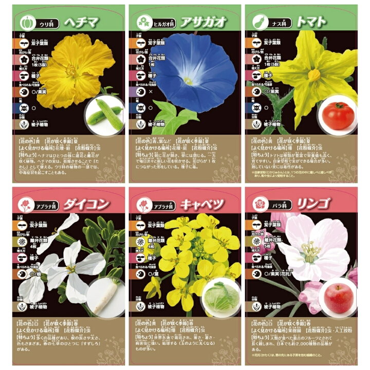 楽天市場】店内全品対象エントリーで＋P5倍☆くもん出版 考える植物 