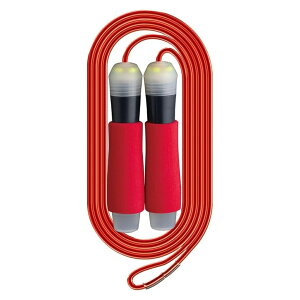 \jbN ȂƂ NCbNXs Cg QX-4012 [֑Ή qpȂƂ  ꒵ Ƃѓ S q LbY т₷ ^ K V w wZ  w Vw