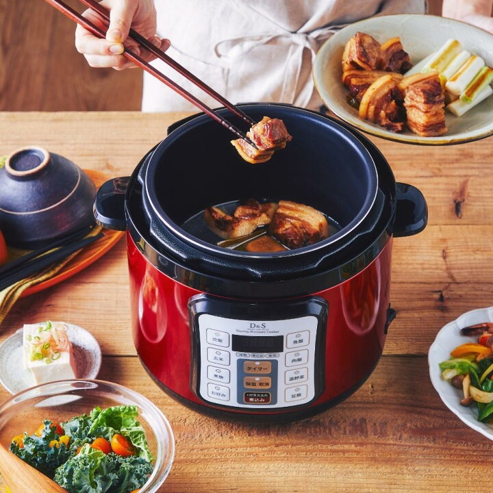 楽天市場】【エントリー＋P5倍全商品対象】D&S 家庭用マイコン 電気 