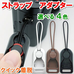 XgbvA_v^[ JXgbv A_v^[ 2Zbg Xgbv p[c nhXgbv fWJXgbv JpXgbv | NCbN ȒP E ^ y 