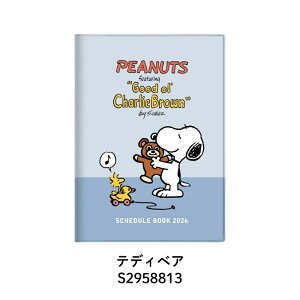 y9xԗDǃVbvzTX^[ 2026 蒠  B6 Jo[t Xk[s[ 10n܂ [֑Ή _CA[ XPW[ }X[ {