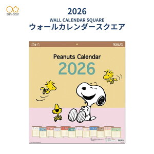 yVX[p[Z[Pő47{TX^[ 2026 EH[J_[XNGA Xk[s[ S8521379 jn܂ J_[ Ǌ| 킢 LN^[