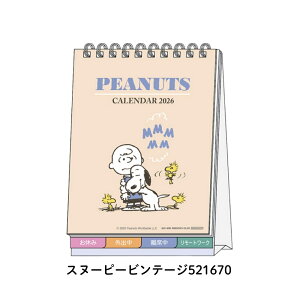 y9xԗDǃVbvzTX^[ 2026 fXNJ_[bZ[Wt jn܂ [֑Ή J_[  킢 LN^[