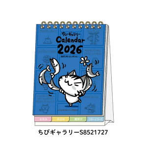 TX^[ 2026 fXNJ_[bZ[Wt jn܂ [֑Ή J_[  킢 LN^[