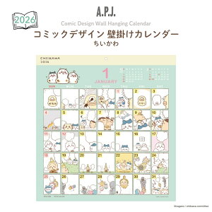 yVX[p[Z[Pő47{APJ 2026 J_[ R~bNfUC Ǌ|  1000137019 jn܂ Ǌ|J_[  XPW[ 킢 LN^[