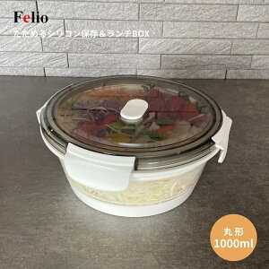 xm Felio ߂VRۑ`BOX ی` 1000ml F21738 [֑Ή `{bNX ^bp[ Rei ٓ l i H@Ή dqW ܂肽 ۑe VR Ⓚ