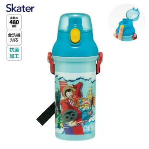 【9月度月間優良ショップ】スケーター 水筒 480ml 直飲み ワンピース 食洗機対応 4973307677359 PSB5SANAG 抗菌 日本製 子ども キャラクター