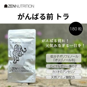 �[���j���[�g���V���� ZEN ACTIVITY BEFORE �g�� 180�� ZEN NUTRITION �[�� �T�v�������g �A�~�m�_ ���R�h �T�v�� �^�� �X�|�[�c �A�X���[�g �ؓ� �h�{