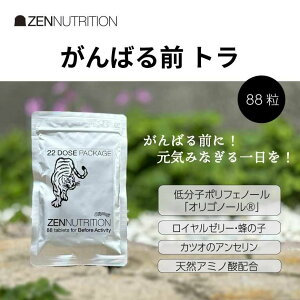 �[���j���[�g���V���� ZEN ACTIVITY BEFORE �g�� 88�� ZEN NUTRITION �[�� �T�v�������g �A�~�m�_ ���R�h �T�v�� �^�� �X�|�[�c �A�X���[�g �ؓ� �h�{