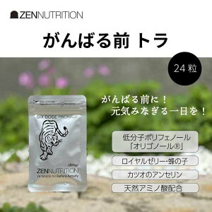 �[���j���[�g���V���� ZEN ACTIVITY BEFORE �g�� 24�� ZEN NUTRITION �[�� �T�v�������g �A�~�m�_ ���R�h �T�v�� �^�� �X�|�[�c �A�X���[�g �ؓ� �h�{