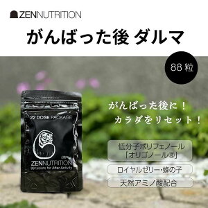 �[���j���[�g���V���� ZEN ACTIVITY AFTER �_���} 88�� ZEN NUTRITION �[�� �T�v�������g �A�~�m�_ ���R�h �T�v�� �^�� �X�|�[�c �A�X���[�g �ؓ� �h�{