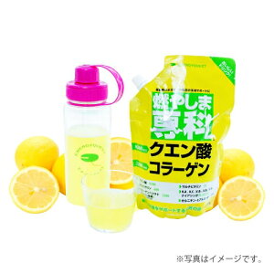 GiW[NGXg R₵ܐ 500g   NG_ R[Q ⋋ X|[c ^ Ij` qA_ 傤 JVE H@ sORT~  Z N