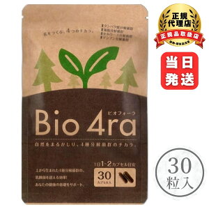 y|Cg10{zBio 4ra rItH[ 30 T|[g 哤R yHi y z Tvg Tv T|[g NHi Y