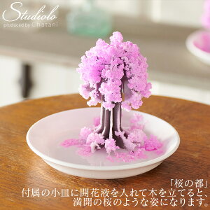 N[|s 悠 ̓s IuWF u   {   wω CoEh yY J Ԍ t   킢 CeA 39-385