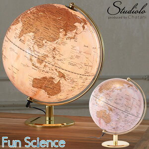 50%OFF!yZ[zN[|s ݌Ɍ CeAnV Cg sN En} ԐڏƖ fBXvC 嗝Β AeB[N  JbR sNS[h zCg S[