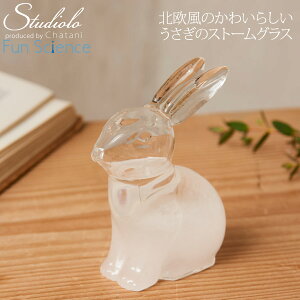 N[|s Xg[OX  IuWF u I[ig fR[V   N KX 킢 w  333-413 FS10 new50