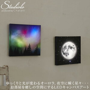 N[|s LEDLoXA[g  I[ ԐڏƖ Ɩ Cg fXNCg [Cg v CeA  R[hX  k Mtg v[g NX}X 500-10 