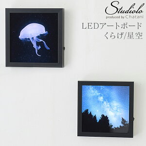 50%OFF!yZ[zN[|s LEDA[g{[h 炰  ԐڏƖ Ɩ Cg fXNCg [Cg v CeA R[hX  vl^E V̊ϑ  Mtg 