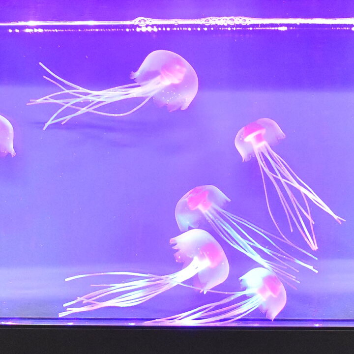 楽天市場 クーポン発行中 動画あり アクアリウム クラゲ ワイド 水族館 Aquarium くらげ 水母 海月 癒し ギフト 人気 おしゃれ インテリア クリスマス 父の日 飲食店 水槽 人工水槽 人工クラゲ 50 Offクーポン除外品 044 Studiolo