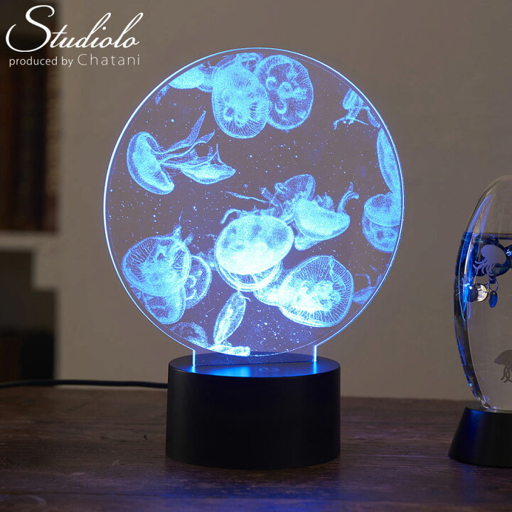 楽天市場】20%OFF!3/3 20:00〜3/11 1:59まで【セール】 クーポン発行中 