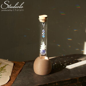 50%OFF!yZ[zN[|s ݌Ɍ yV1 TLb`[  I[ig IuWF  CeA C{[[J[ vY Xg[ Mtg TCGX 333-501 F