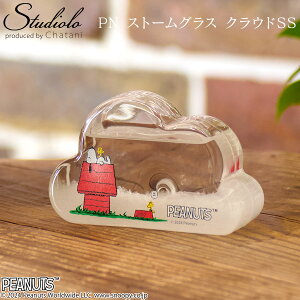 50%OFF!【セール】クーポン発行中 【PEANUTS】スヌーピー ストームグラス クラウド SS 天気官 インテリア雑貨 ナチュラル オシャレ Fun Science ピーナッツ ウッドストック SNOOPY 151-333001