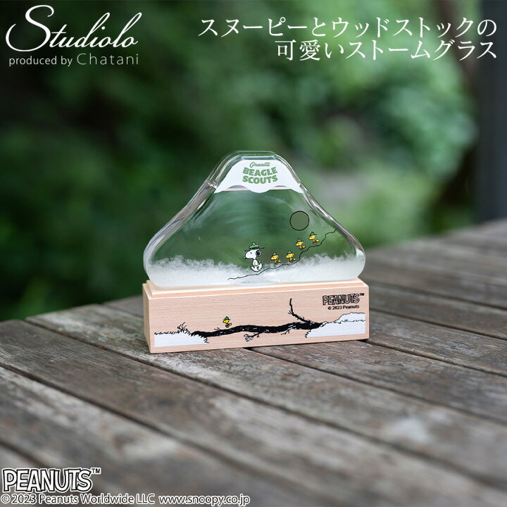 楽天市場】【PEANUTS】スヌーピー ストームグラス ビーグルスカウト50 