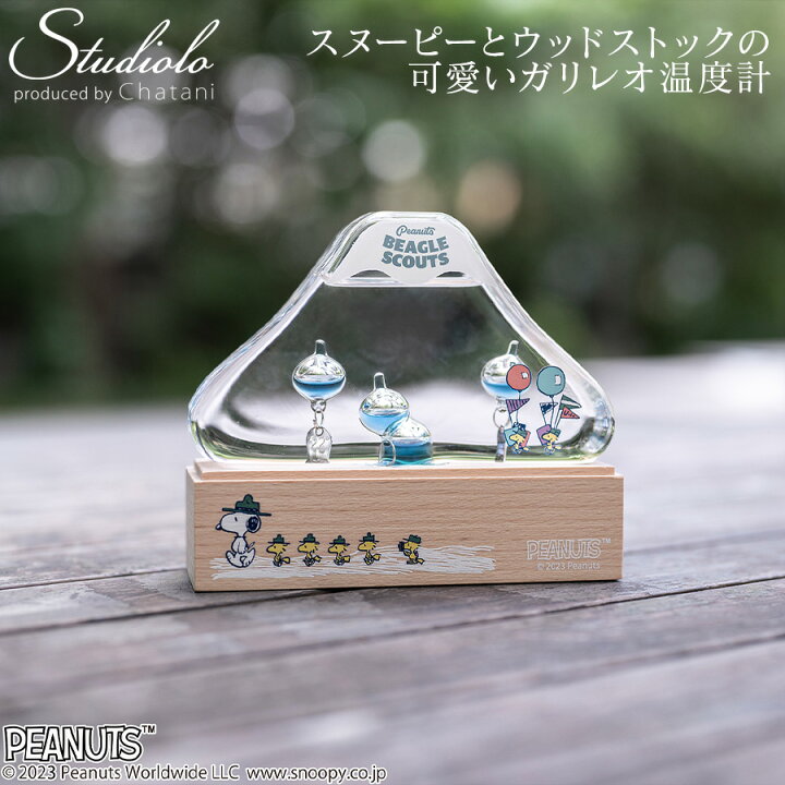 楽天市場】【PEANUTS】スヌーピー ガリレオ温度計 ビーグルスカウト50 