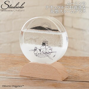 N[|s yMOOMINzXg[OX Eh [~ k CeA Cیv VC VC\  䕗 TCGX Ȋw i` IV Fun Science 152-333231 ca10