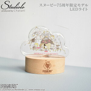 yPEANUTSzXk[s[ LEDCg NEh 75N LEDNEh ԐڏƖ CeACg i` IV Fun Science s[ibc EbhXgbN SNOOPY 151-333PS2404
