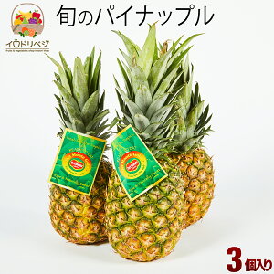 パイナップル プレゼントの人気商品 通販 価格比較 価格 Com パイナップル プレゼントの人気商品 通販 価格比較 価格 Com