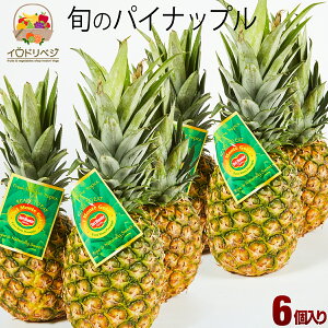パイナップル プレゼントの人気商品 通販 価格比較 価格 Com パイナップル プレゼントの人気商品 通販 価格比較 価格 Com
