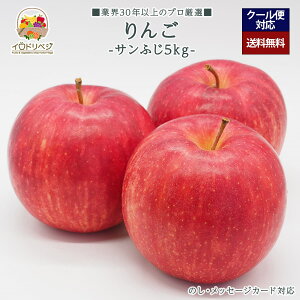 y2026Noח\zuIvuh S 5kgZbg 12`20 TtWyr[ Tz蕨 Mtg v[g 肪Ƃ j j  a ii G { 