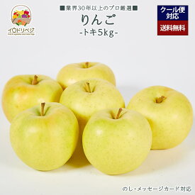 【来期 予約受付中】「厳選」こだわりブランド リンゴ 5kgセット 14〜22個入り ★とき★【レビュー 特典】贈り物 ギフト プレゼント ありがとう お祝い 内祝い 結婚 誕生日 景品 季節 旬 果物 フルーツ りんご おしゃれ