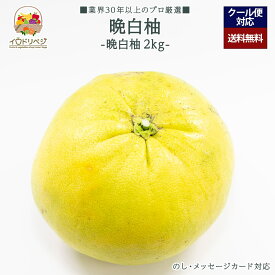 【今期 予約受付中】「厳選」こだわり晩白柚 2kg 1〜2玉入り ★産地厳選★【レビュー 特典】贈り物 ギフト プレゼント ありがとう お祝い 内祝い 結婚 誕生日 景品 季節 旬 果物 フルーツ 柑橘 おしゃれ