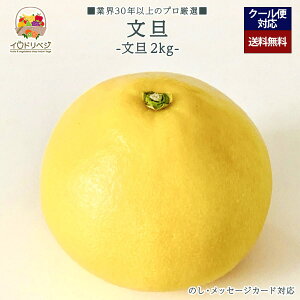 y\tzuIv蕶U 2kgZbg 2`4 YnIyr[ Tz蕨 Mtg v[g 肪Ƃ j j  a ii G { ʕ t[c k