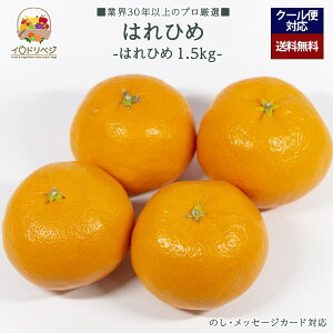 y2026Noח\zuIv͂Ђ 1.5kgZbg 6`10 YnIyr[ Tz蕨 Mtg v[g 肪Ƃ j j  a ii G { ʕ t