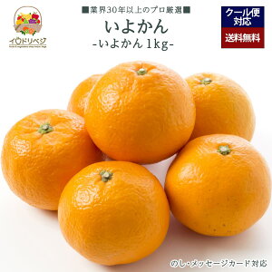 y2026Noח\zuIv肢悩 1kgZbg 3`5 YnIyr[ Tz蕨 Mtg v[g 肪Ƃ j j  a ii G { ʕ t[