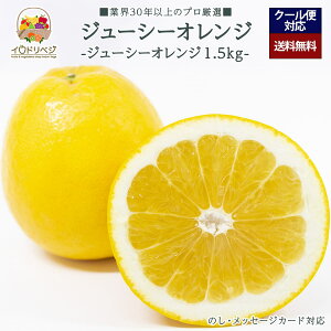 y2026Noח\zuIvW[V[ IW 1.5kgZbg 4`6 YnIyr[ Tz蕨 Mtg v[g 肪Ƃ j j  a ii G 