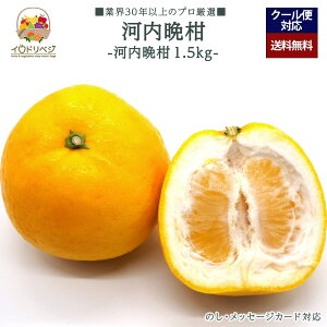 y2026Noח\zuIv͓ӊ 1.5kgZbg 3`5 YnIyr[ Tz蕨 Mtg v[g 肪Ƃ j j  a ii G { ʕ t