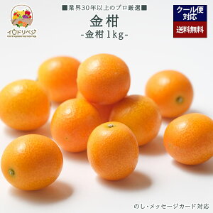 y2026N \tzuIv 1kgZbg 50`60 YnIyr[ Tz蕨 Mtg v[g 肪Ƃ j j  a ii G { ʕ t[