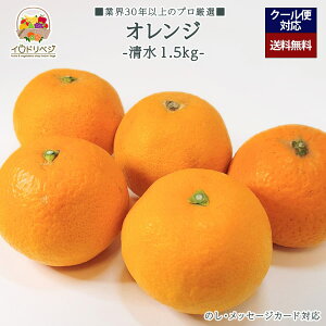 y2026Noח\zuIv萴 IW 1.5kgZbg 6`8 YnIyr[ Tz蕨 Mtg v[g 肪Ƃ j j  a ii G { ʕ 