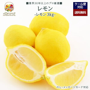 y\tzuIv背 3kgZbg 16`20 YnIyr[ Tz蕨 Mtg v[g 肪Ƃ j j  a ii G { ʕ t[c 