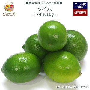 y\tzuIv胉C 1kgZbg 10`20 YnIyr[ Tz蕨 Mtg v[g 肪Ƃ j j  a ii G { ʕ t[c 