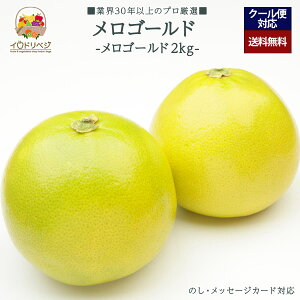 y2026Noח\zuIv胁S[h 2kgZbg 4`6 YnIyr[ Tz蕨 Mtg v[g 肪Ƃ j j  a ii G { ʕ t