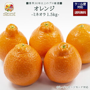 y2025Noח\zuIv~lI IW 1.5kgZbg 6`8 YnIyr[ Tz蕨 Mtg v[g 肪Ƃ j j  a ii G { 