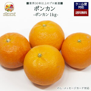 y2026Noח\zuIv|J 1kgZbg 6`9 YnIyr[ Tz蕨 Mtg v[g 肪Ƃ j j  a ii G { ʕ t[