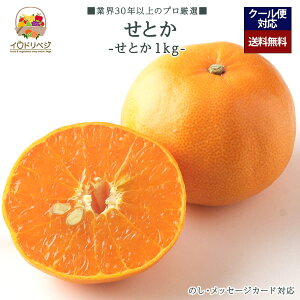 y2025Noח\zuIv肹Ƃ 1kgZbg 3`5 YnIyr[ Tz蕨 Mtg v[g 肪Ƃ j j  a ii G { ʕ t[c