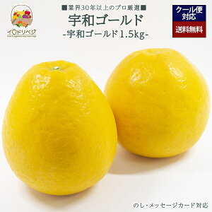 y2026Noח\zuIvFaS[h 1.5kgZbg 3`4 YnIyr[ Tz蕨 Mtg v[g 肪Ƃ j j  a ii G { ʕ 