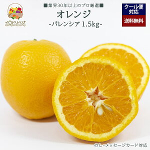 y\tzuIvoVA IW 1.5kgZbg 6`8 YnIyr[ Tz蕨 Mtg v[g 肪Ƃ j j  a ii G { 